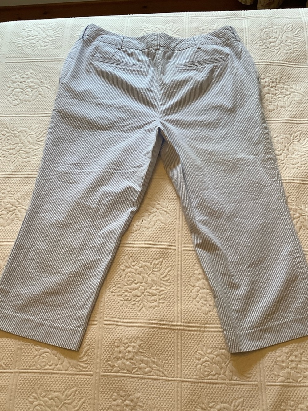 Lands' End Light Blue & White Striped Seersucker Pants - Picture 6 of 7